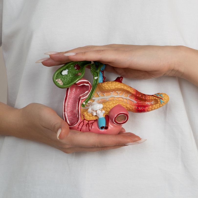 Pancreas CheckUp
