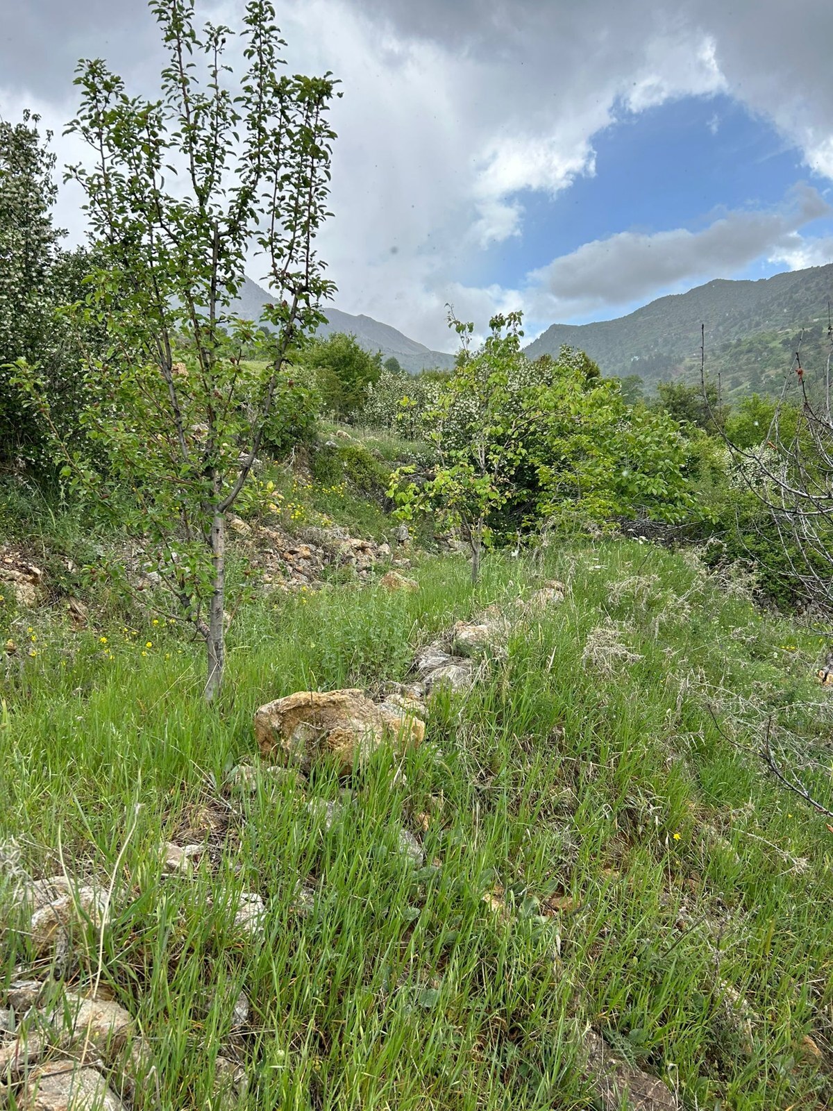 Gökbel Kadıyakası · 900 m²