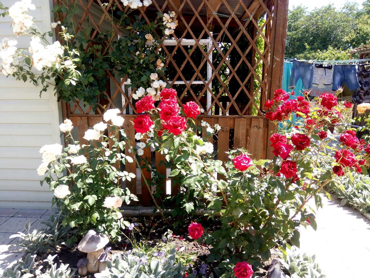 Урзуф фламинго. Продается дом в бендерах. Урзуф набережная 71. Урзуф ул. Урзуф набережная 58а.