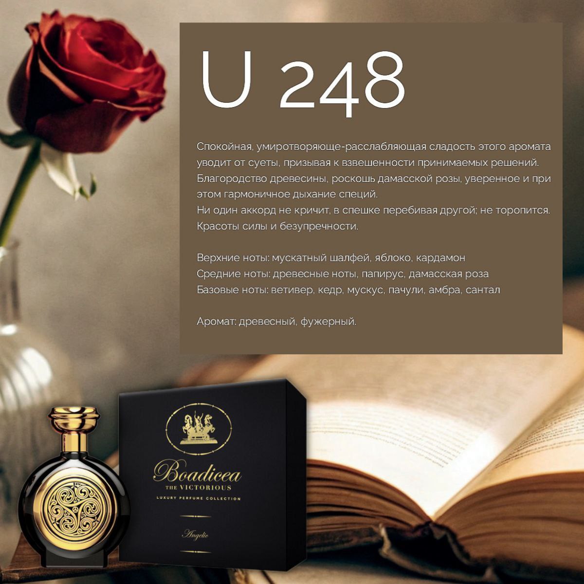 marso u 248