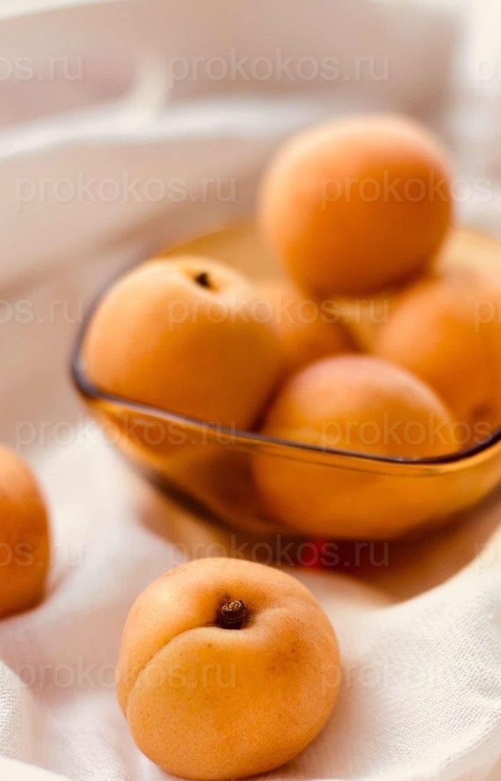 Абрикосовая роща