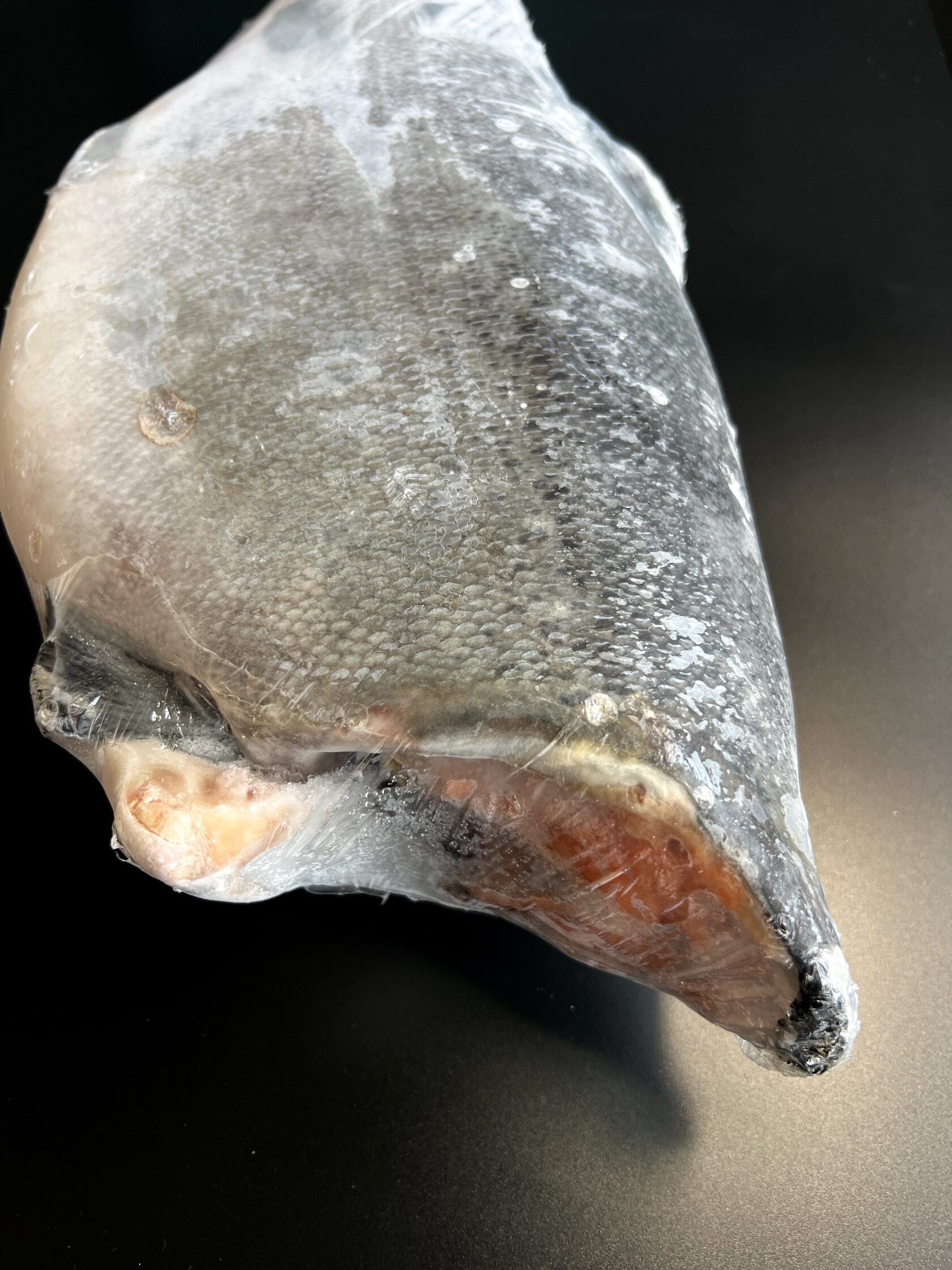 Устрицы Fine de Claire