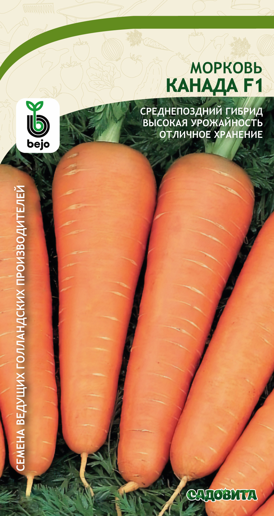 Морковь сорт канада отзывы. Морковь Канада f1. Морковь Канада f1 /0,2 гр ДЕМСИБ/ Bejo (Голландия). Морковь Канада фото. Морковь Канада отзывы.