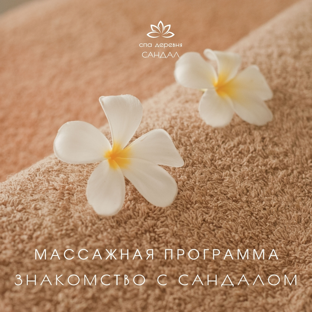 Знакомство с сандалом