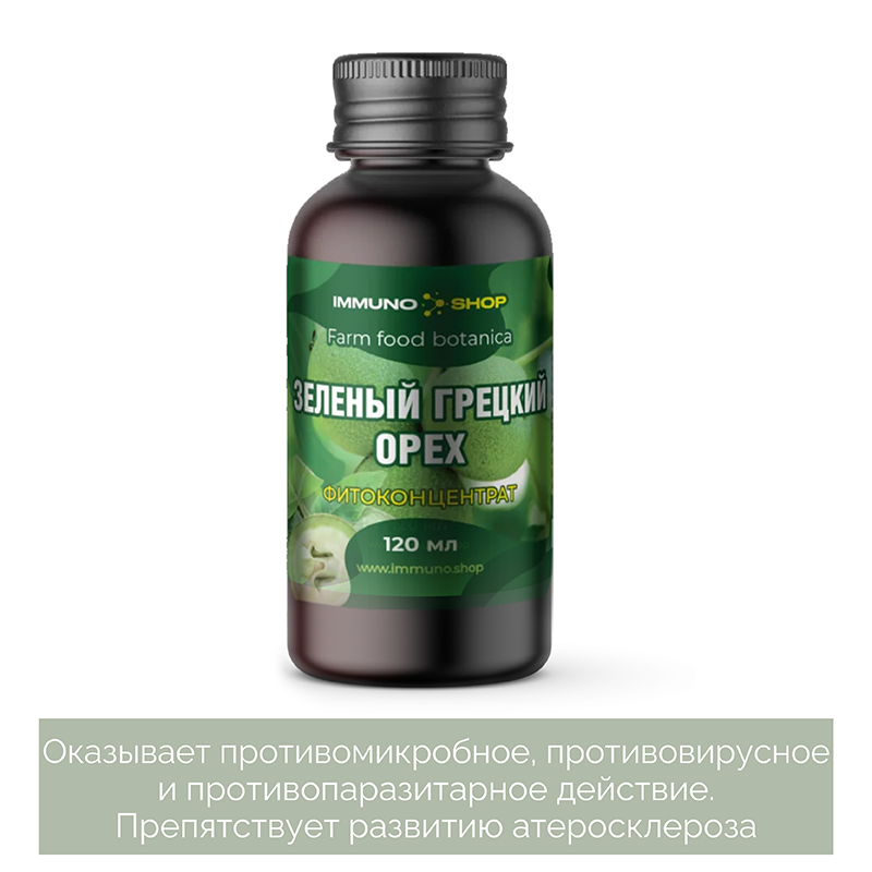 Зеленый грецкий орех