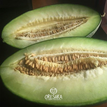 Seeds of Melon Kukcha (Cucumis melo) — 10 pcs
