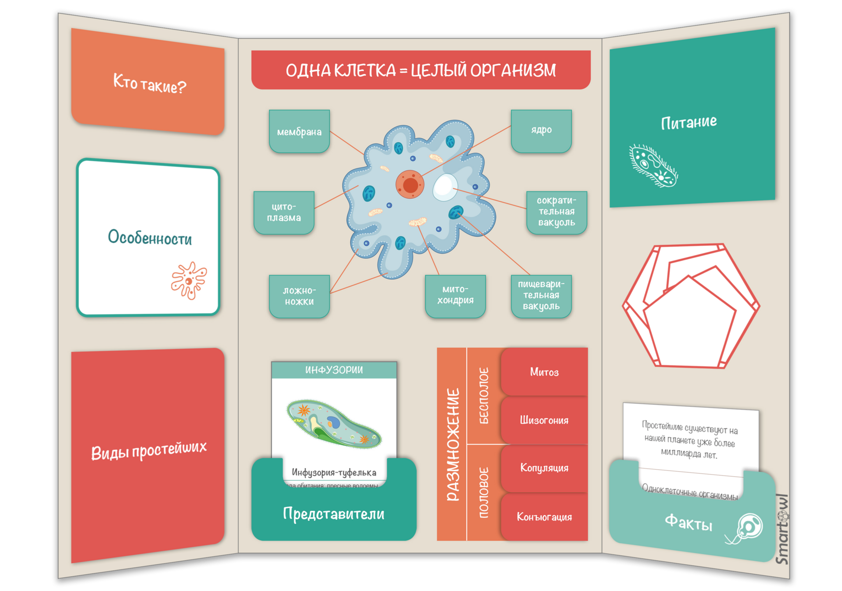 Лэпбук — шаблоны для распечатки | Электронные шаблоны лэпбука для детей ...