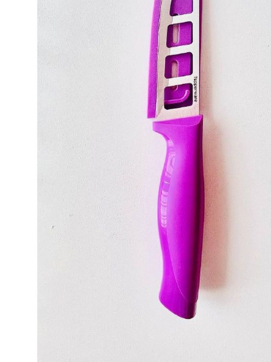 Нож для сыра "Гурман" с чехлом Tupperware (Тапервер)