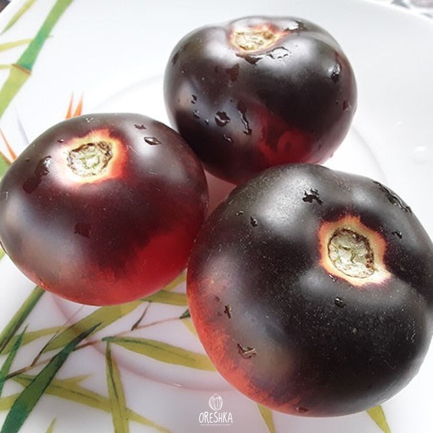 Seeds of Tomato Ban dol blues (solanum lycopersicum) — 10 pcs