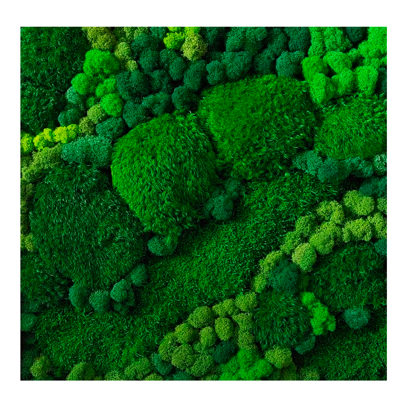 Terraria светящийся мох фото 25