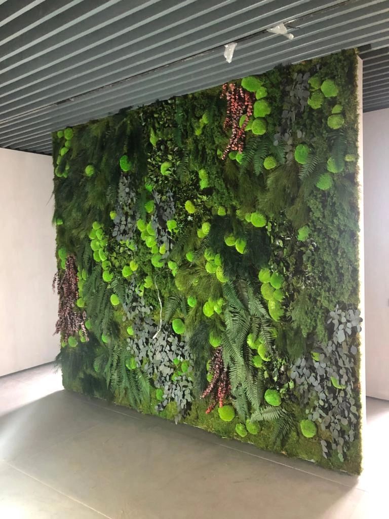 Вертикальное озеленение стабилизированными растениями