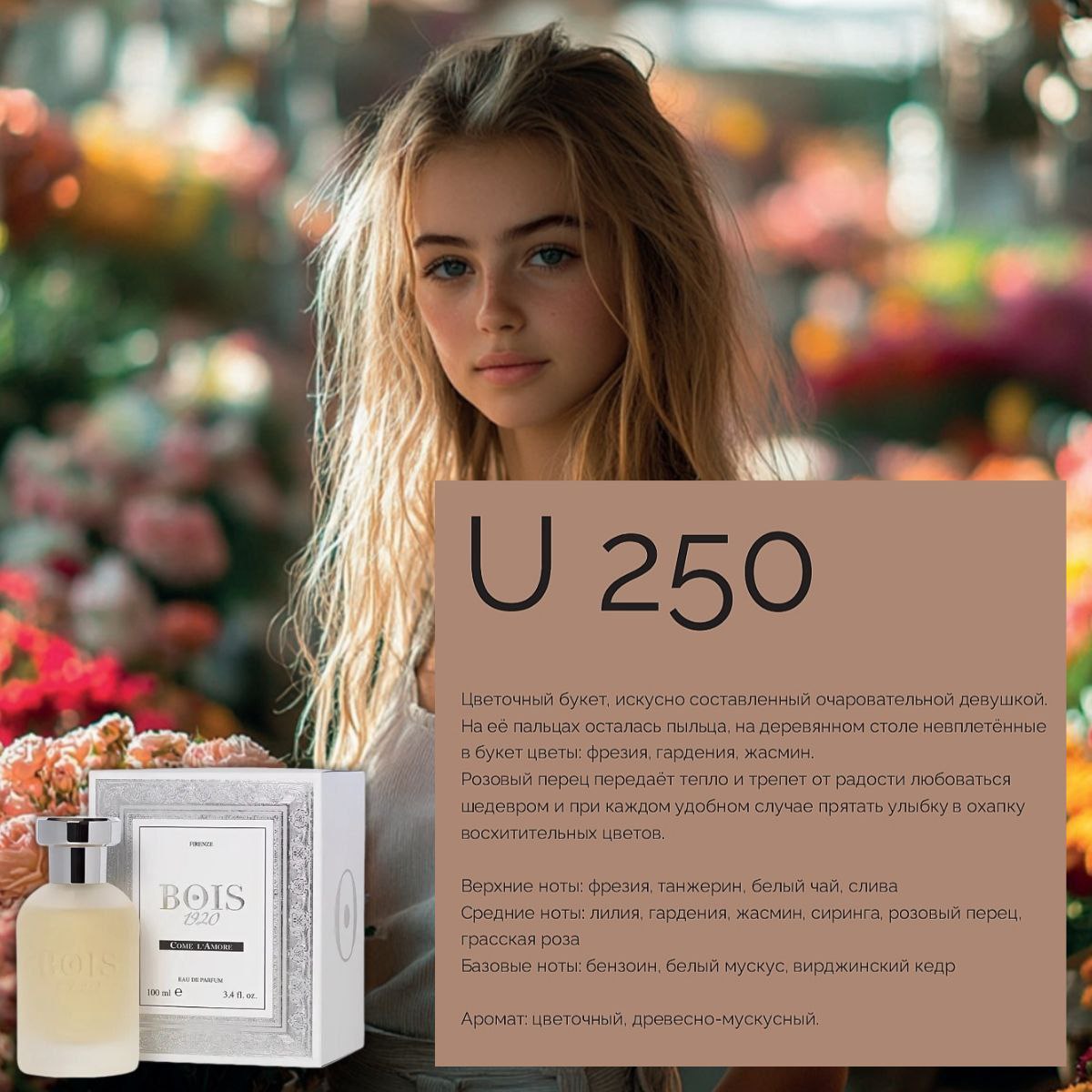 Marso U250