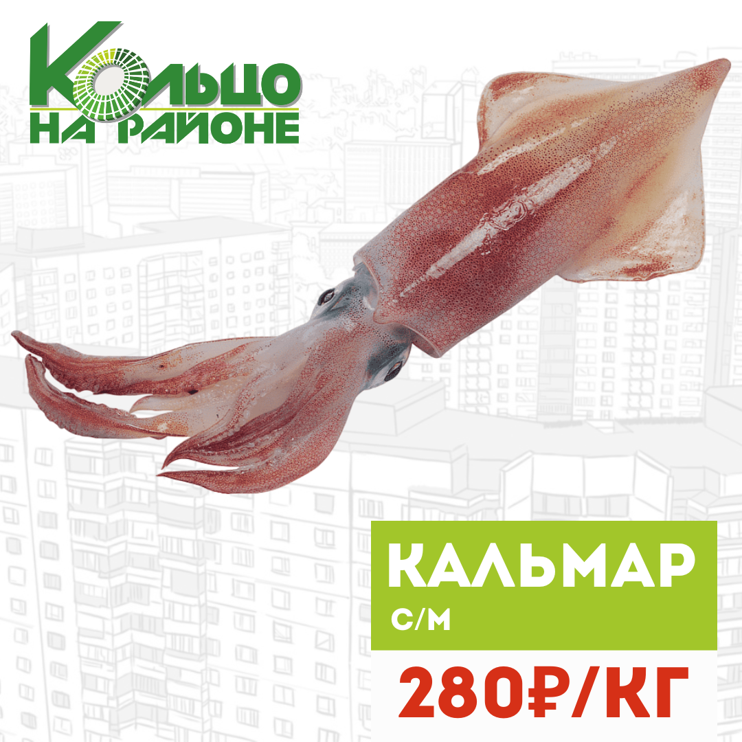 Кольцо на районе, Мясо, Рыба, Овощи, Булочная, Продуктовый Рынок, Саратов