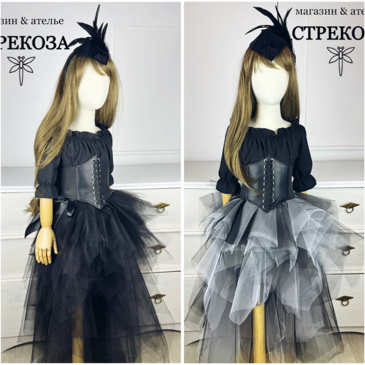 костюм черного лебедя птицы