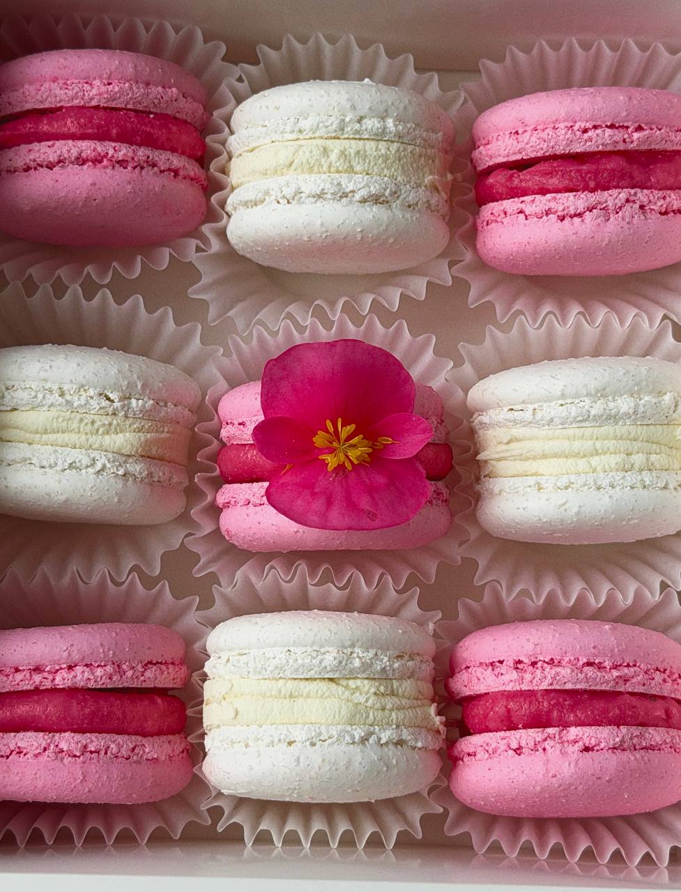 Пирамида вкусов — фото 2