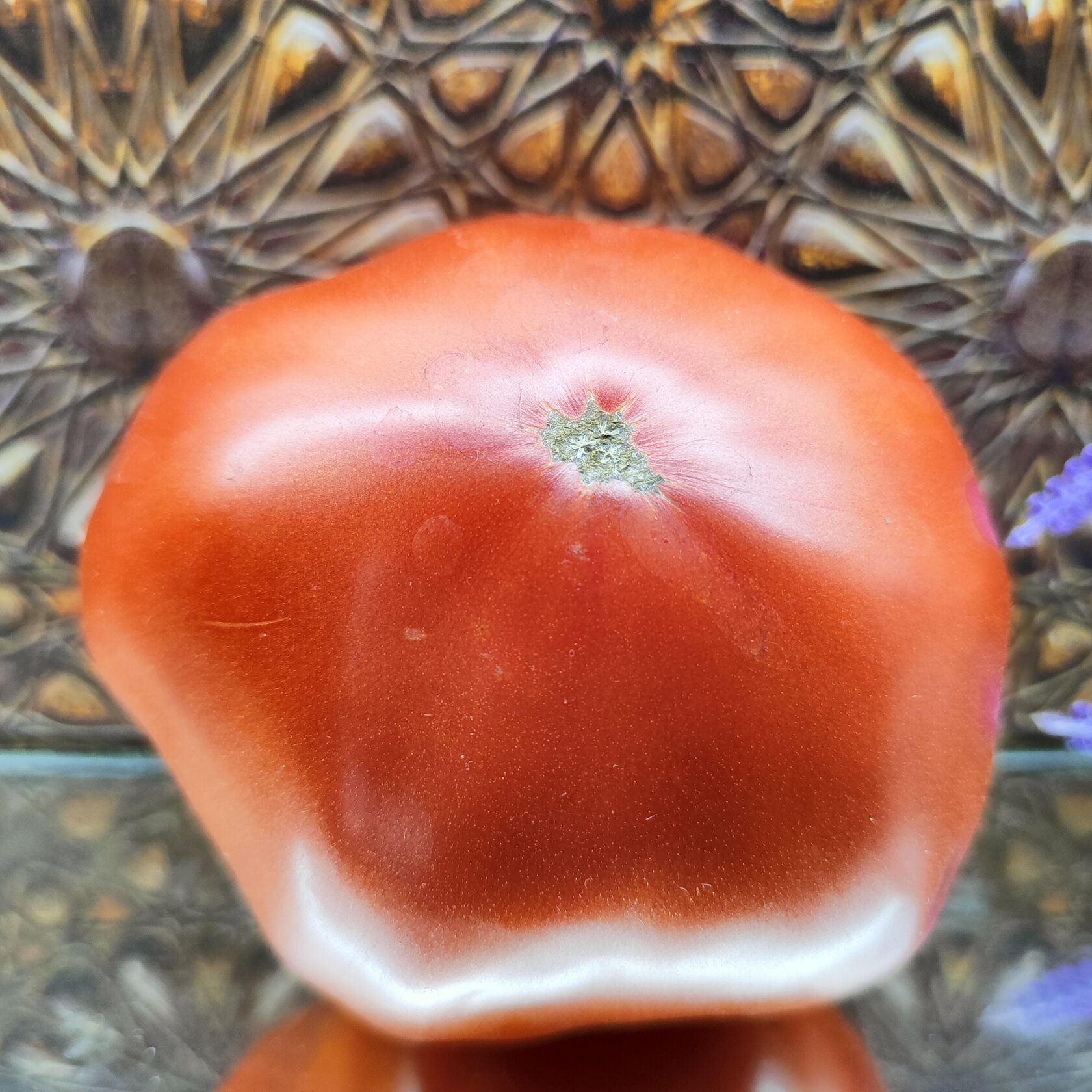 Томат Grosse du Gers (Гросс дю жер)