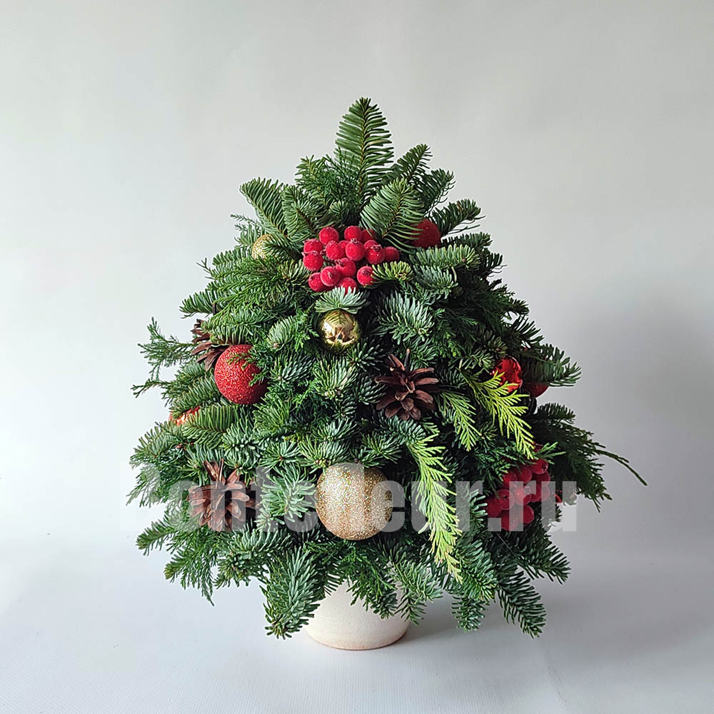 Ёлочка из нобилиса и туи красно-золотая мини