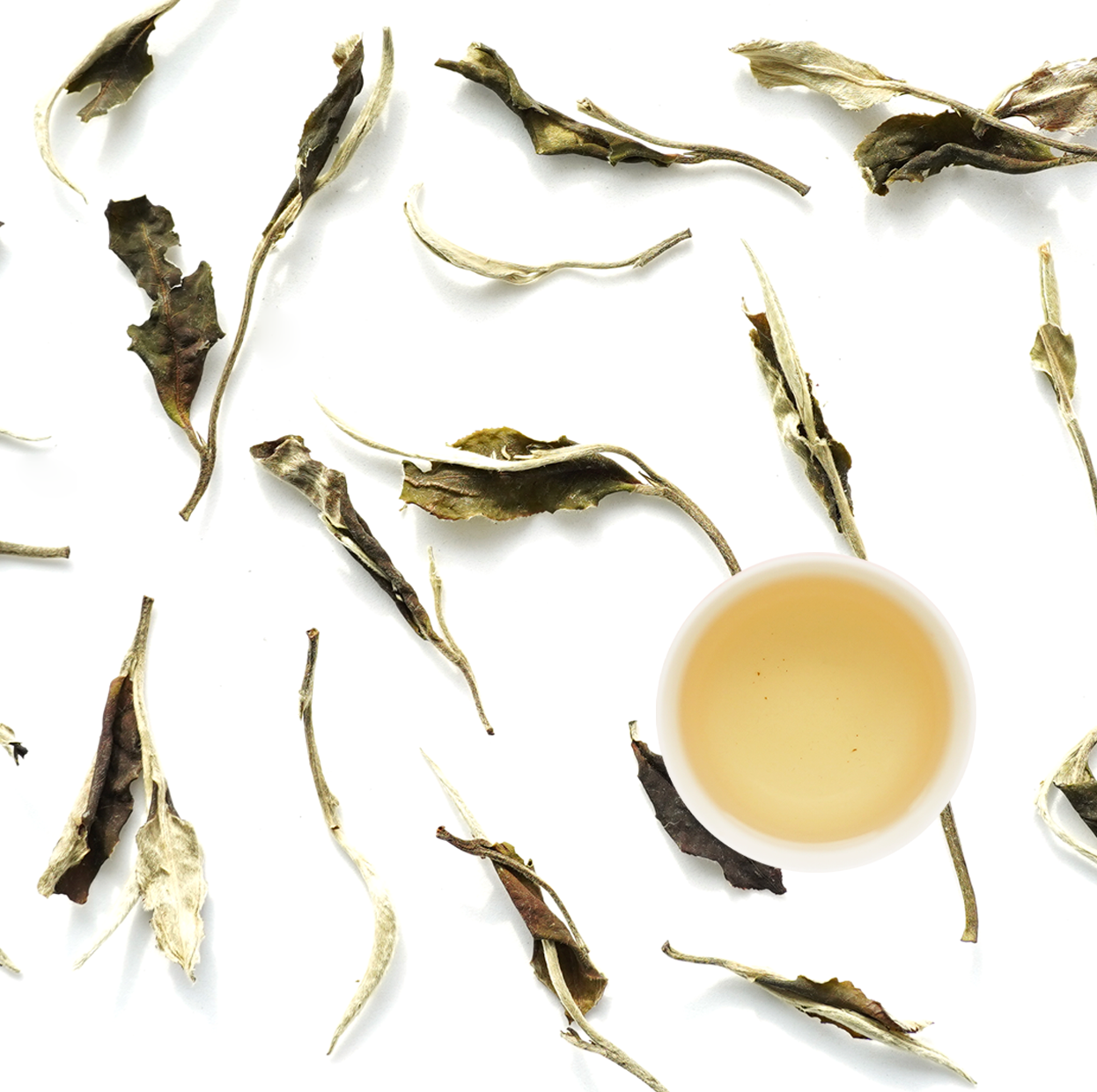 контрастный белый юэ гуан бай 2025