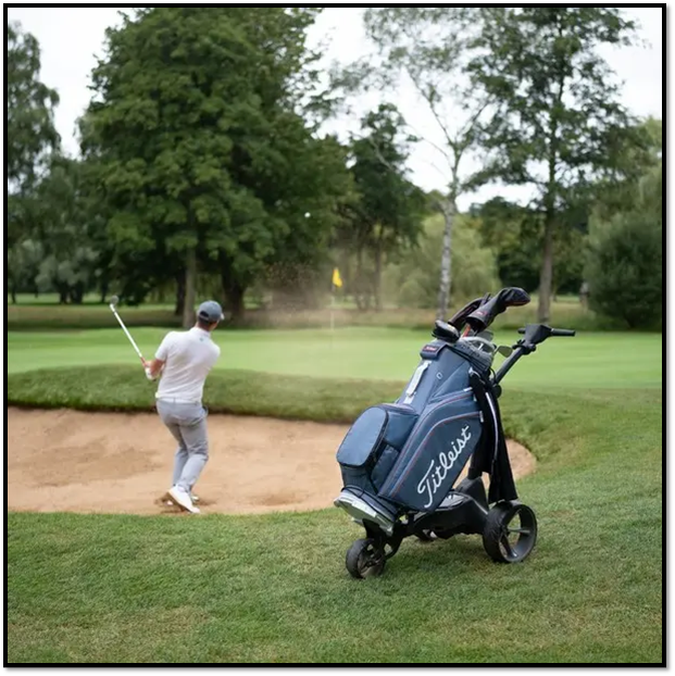 Сумка для гольфа Titleist Cart 14