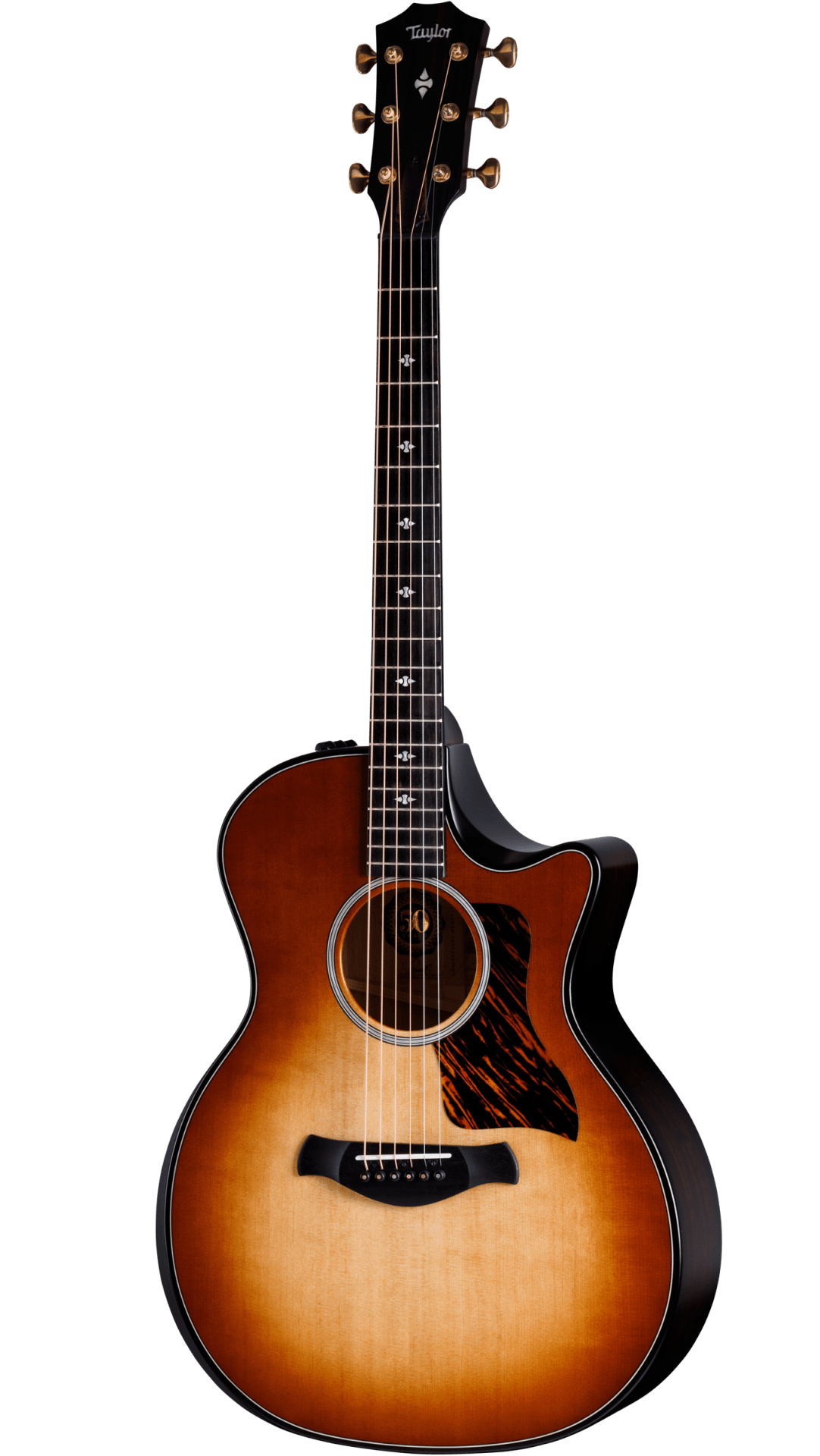 Электроакустическая гитара Taylor 50th Anniversary Builder's Edition 314ce - SB LTD