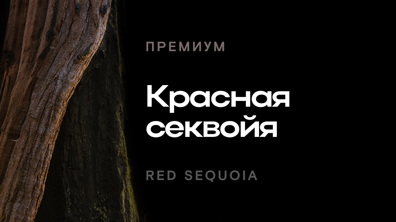 Аромат "Хлеб с розмарином"