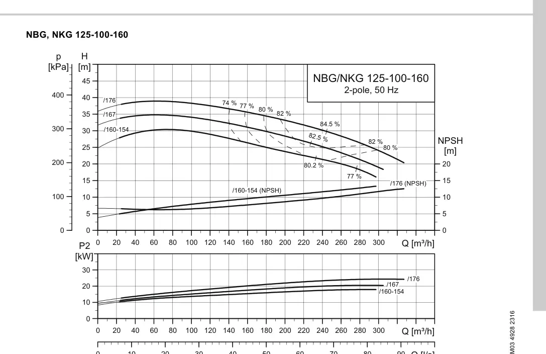 График работы насоса NK 100-160/176 EUP A2-F2-A-E-BAQE