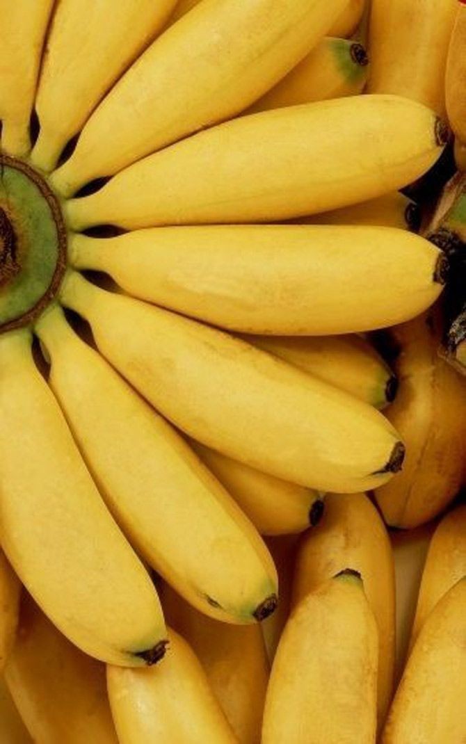 Спортивный банан. Тыква экзотическая банановая. Банан стиль. Бананы и спорт.