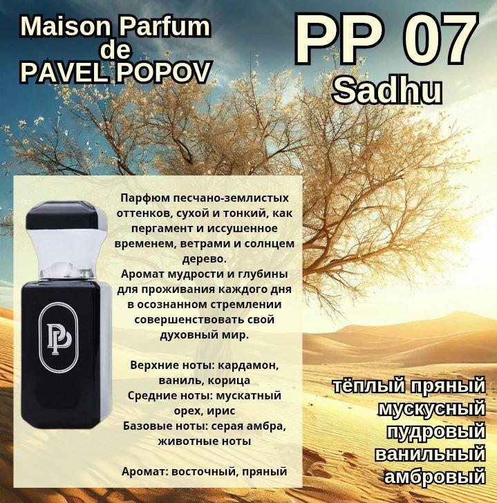 РР 07 Sadhy "Погружение в себя"