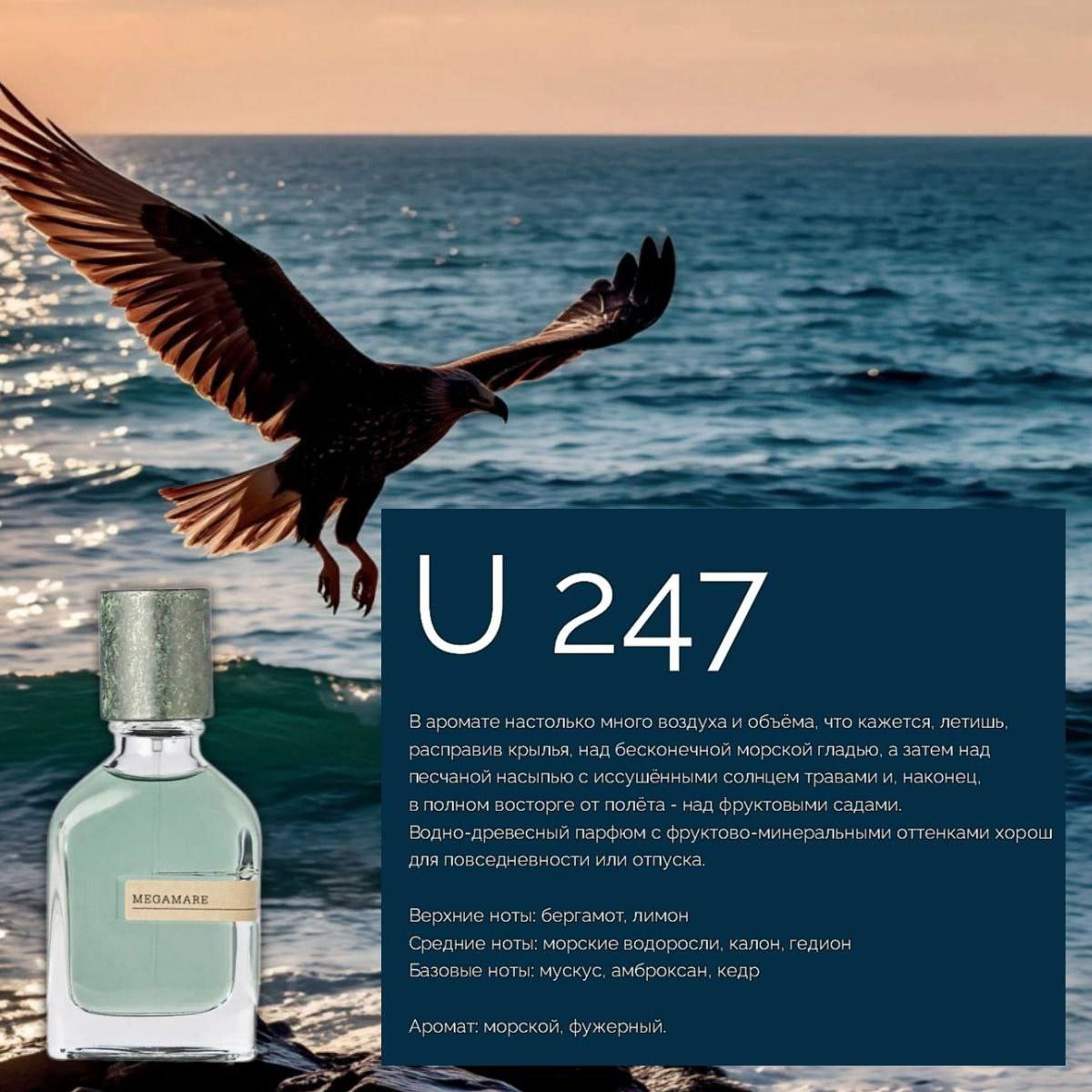 MARSO U247