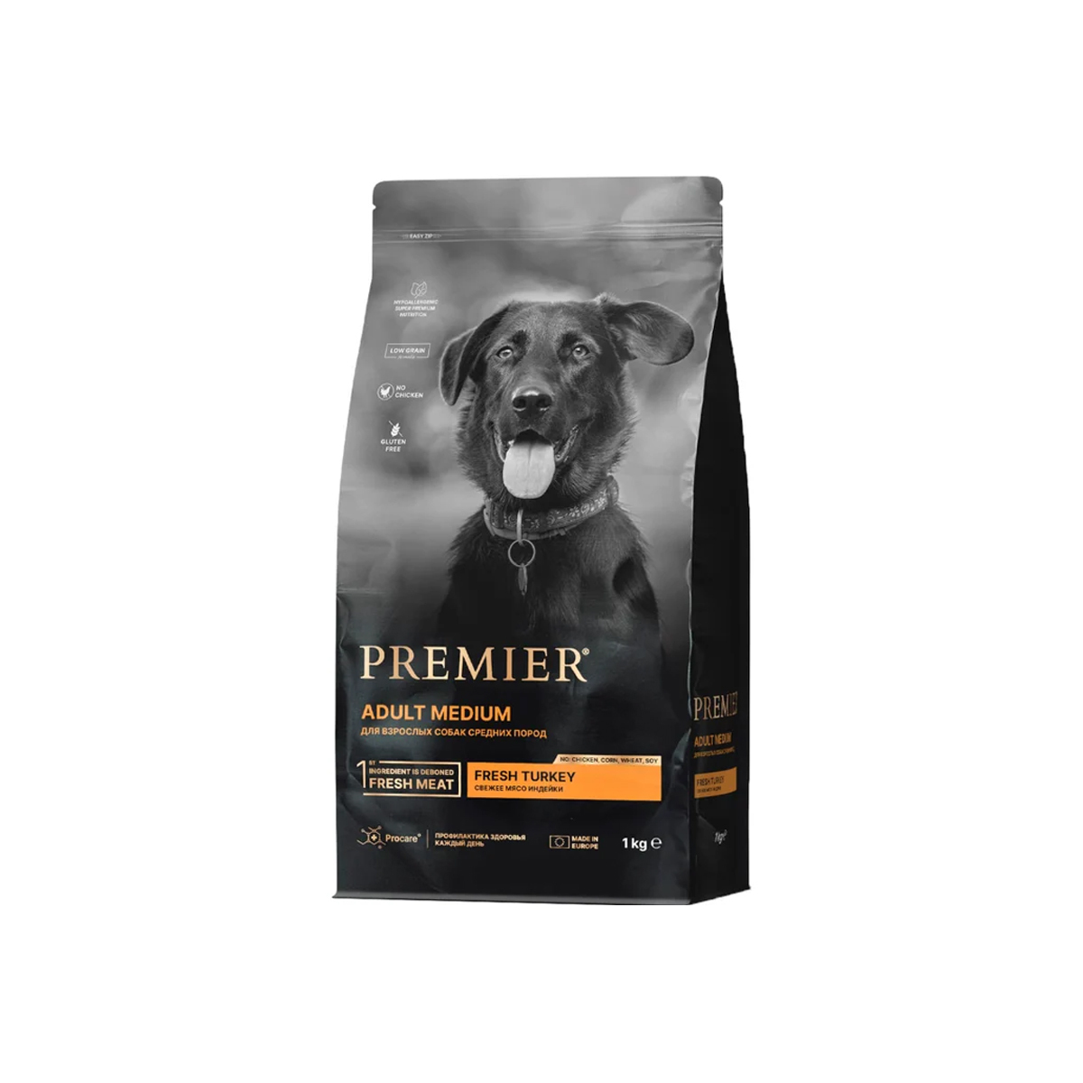 Premier dog