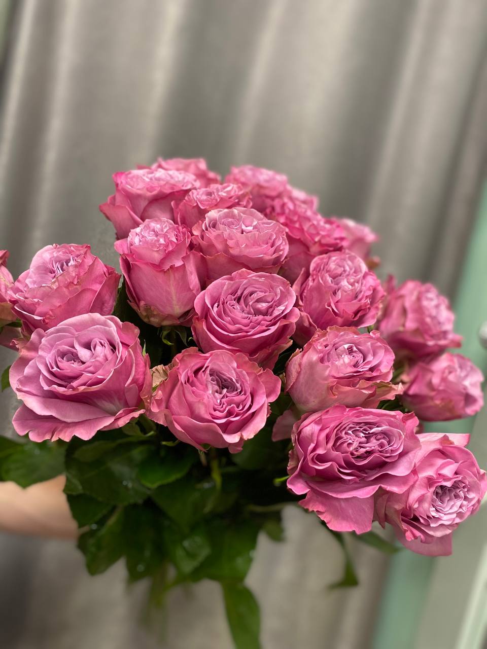 Свиты розы розового цвета.