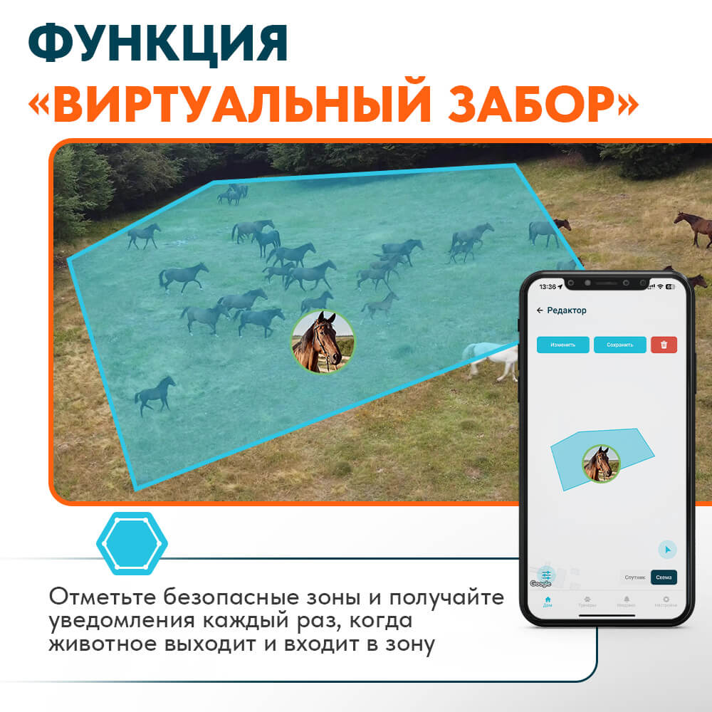 GPS-ошейник (трекер) для собак Petsee купить на официальном сайте, цена,  отзывы