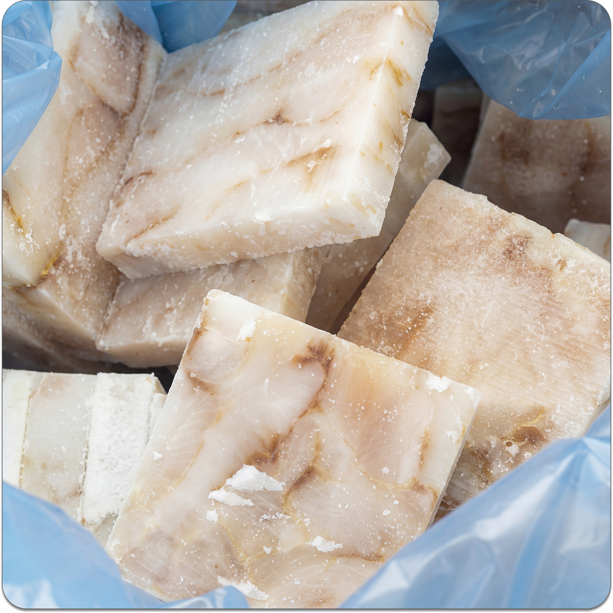 Филе минтая порционное — вид сверху