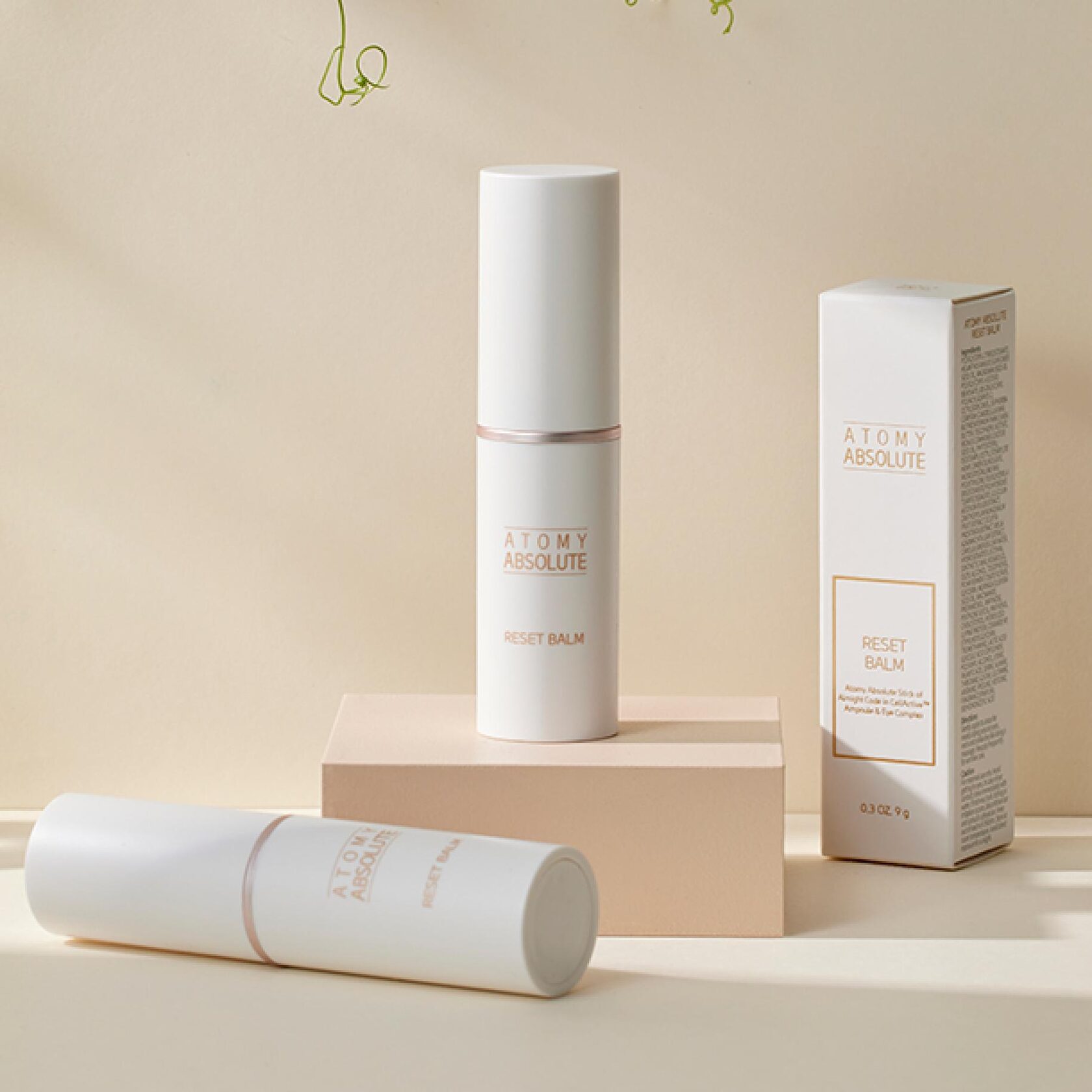 Стик от морщин атоми. Atomy reset balm. Atomy reset balm. Atomy absolute reset balm. Atomy absolute reset balm.