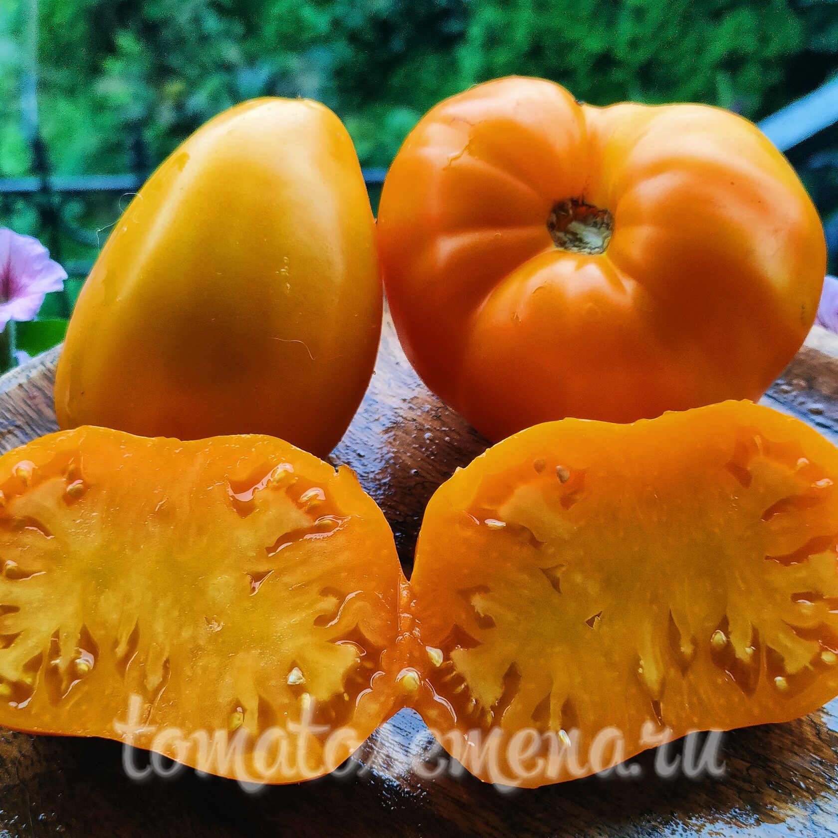 Чудо земли оранжевое