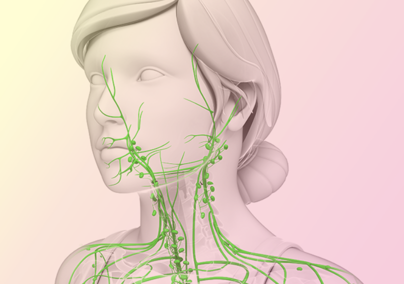 На шее лимфоузлы где расположены у человека. Тонзиллярные лимфоузлы. Лимфатическая система лица и шеи анатомия. Заднешейные лимфоузлы расположение.