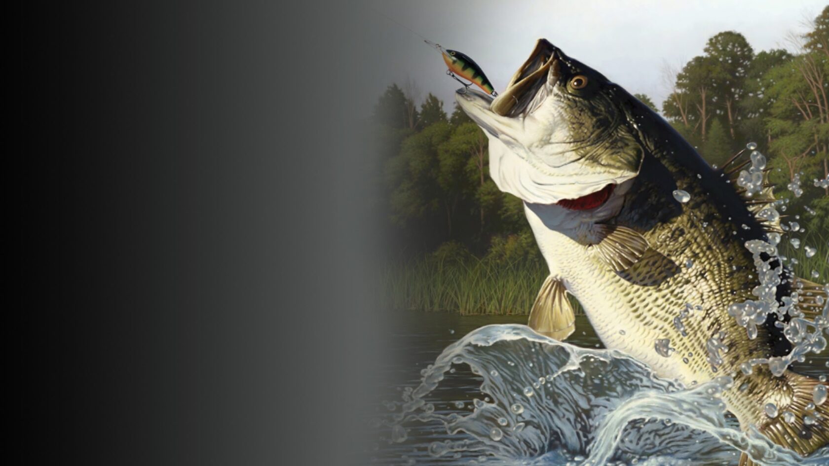 Rapala Fishing: Pro Series