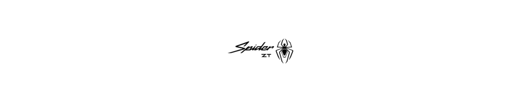 Логотип Spider ZT