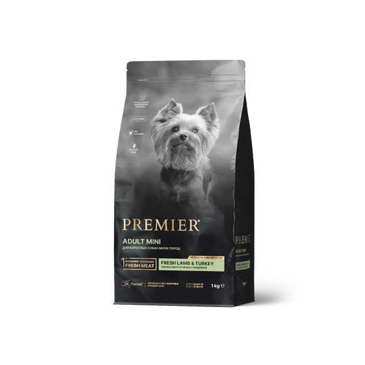 Premier dog