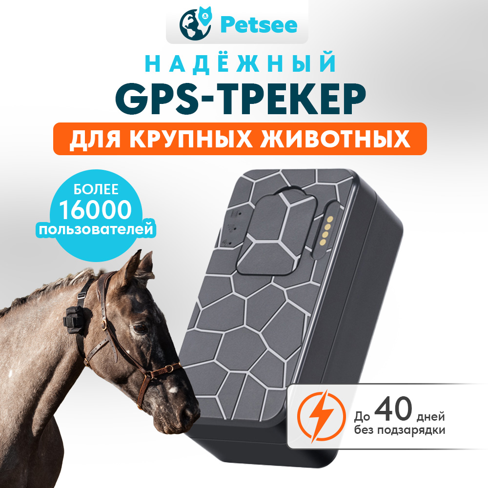 GPS-трекер Petsee для крупных животных (коров, лошадей, овец)