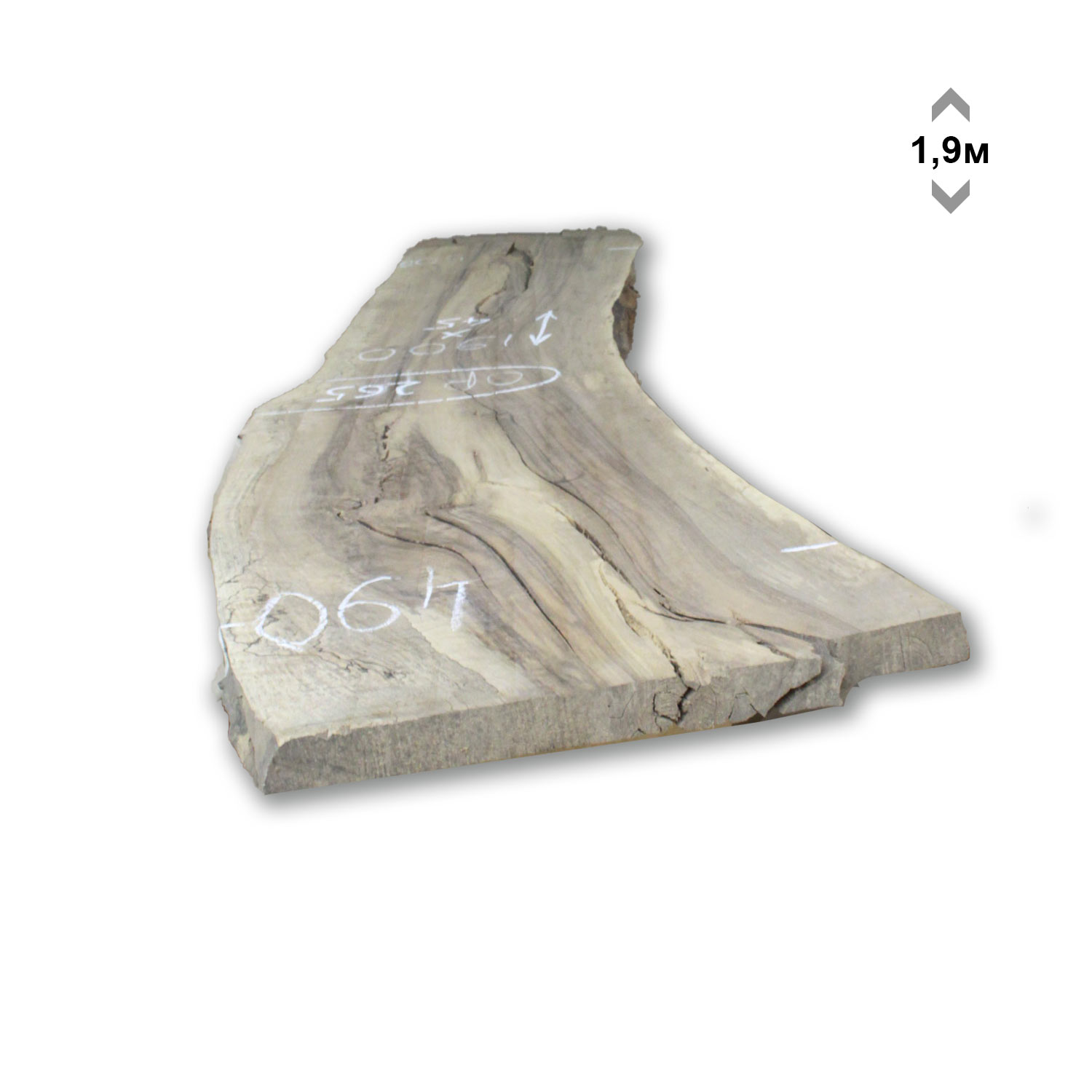 Купить Слэб ореха / Калиброванный / Камерная сушка 8% / Ор265