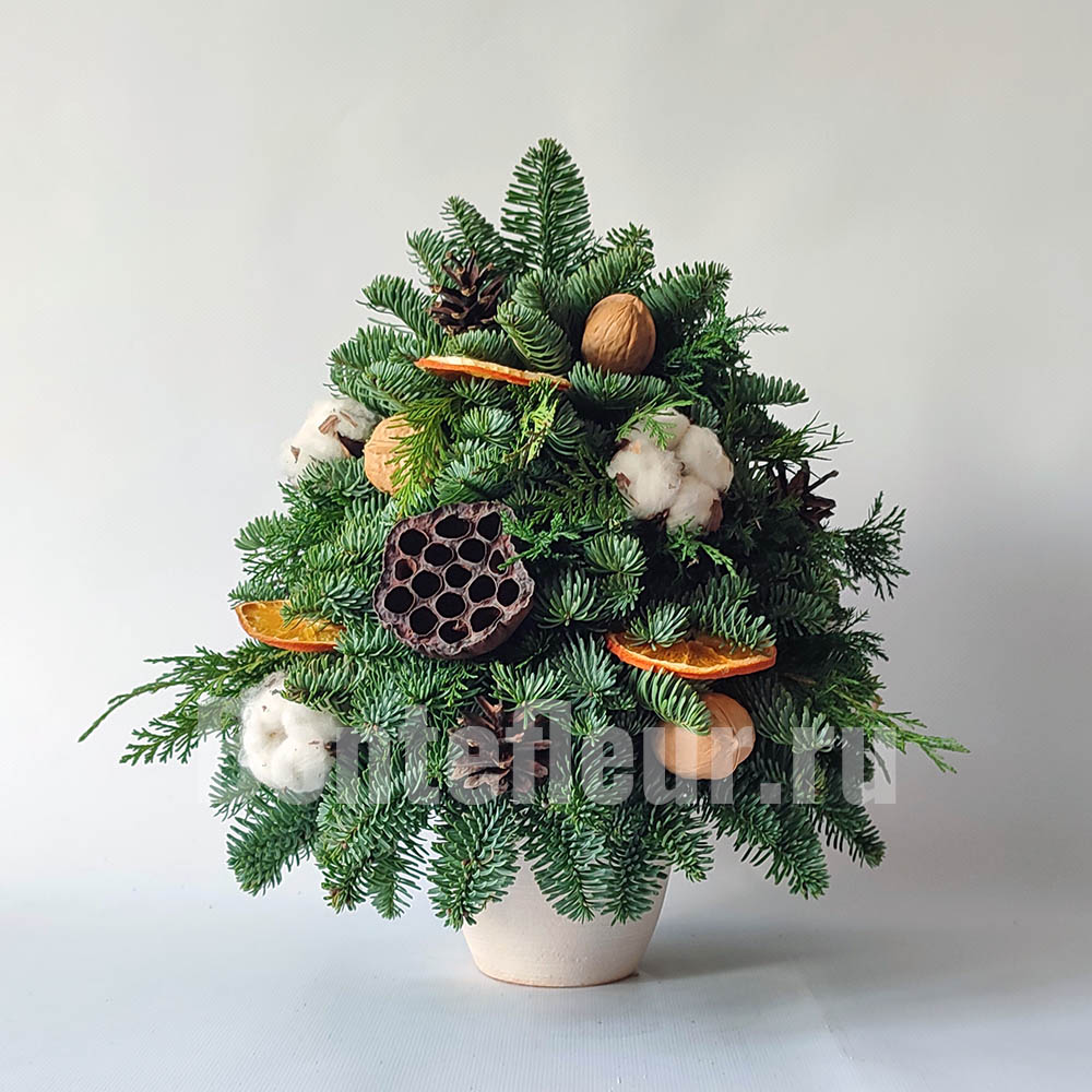 Ёлочка из нобилиса и туи натуральная мини