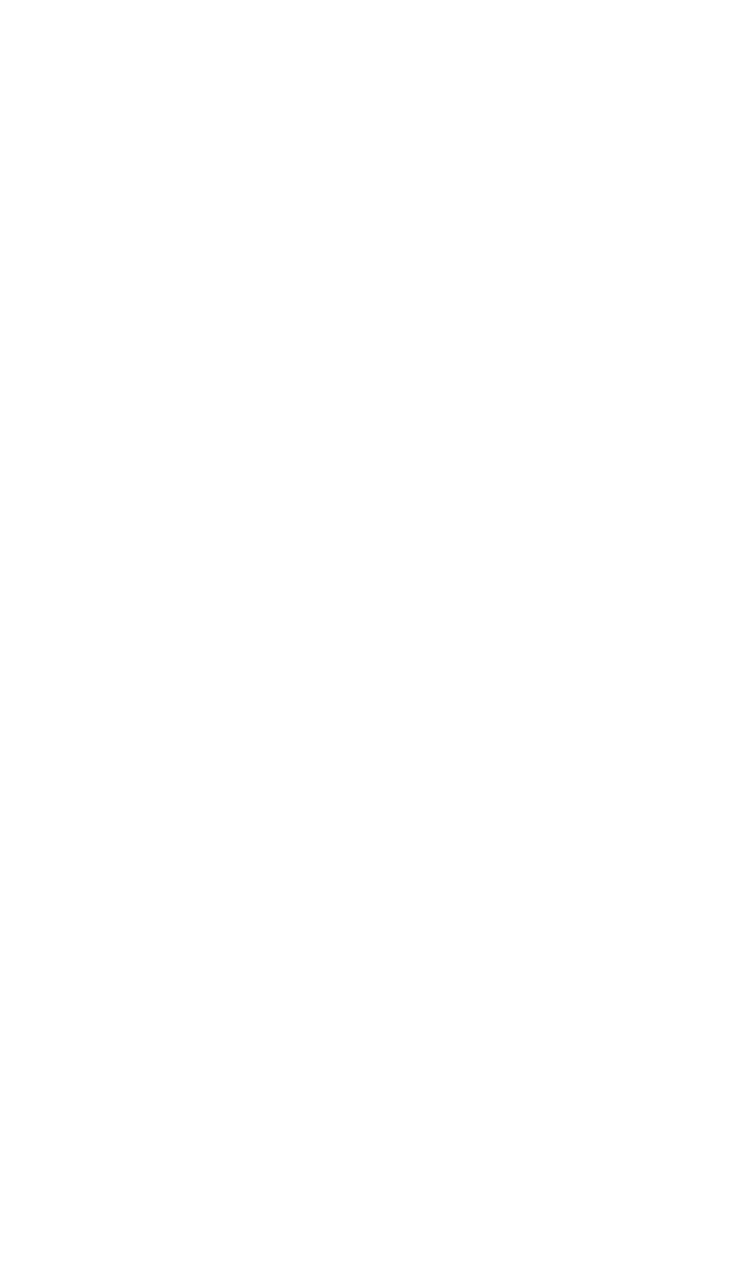 Космический принт 1320