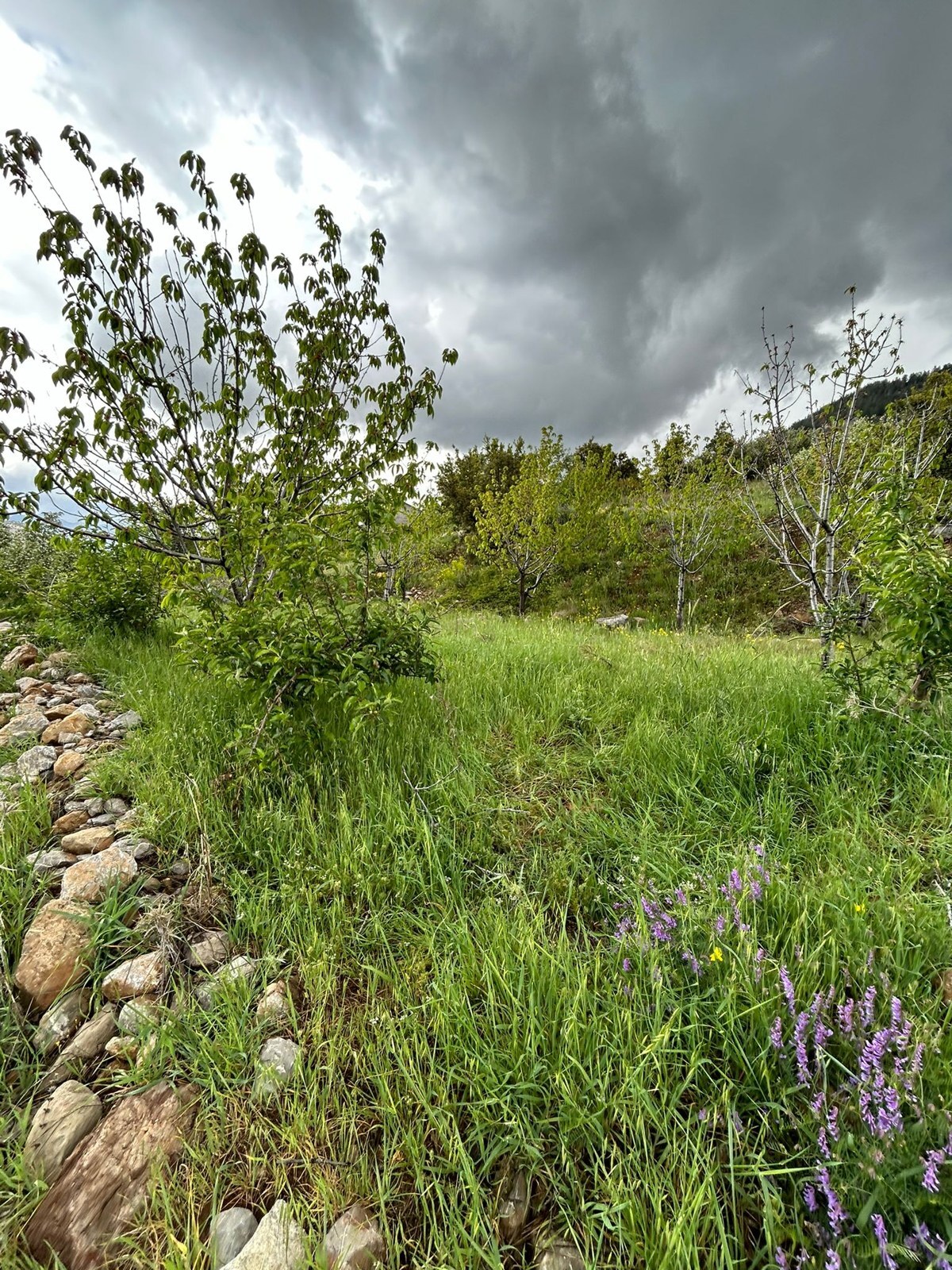 Gökbel Kadıyakası · 900 m² — zdjęcie 2