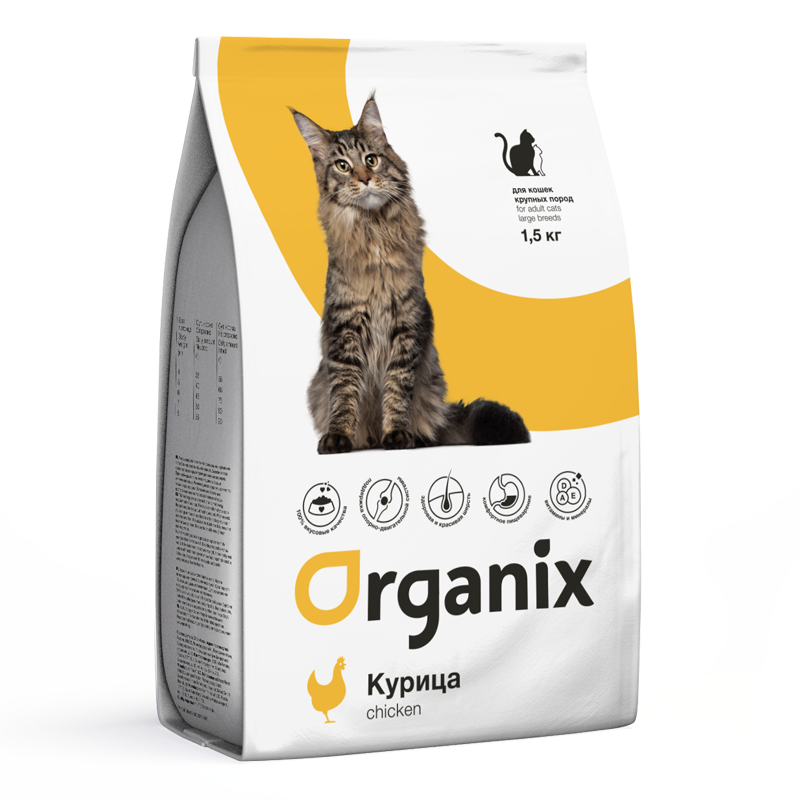 Organix kitten hot sale food