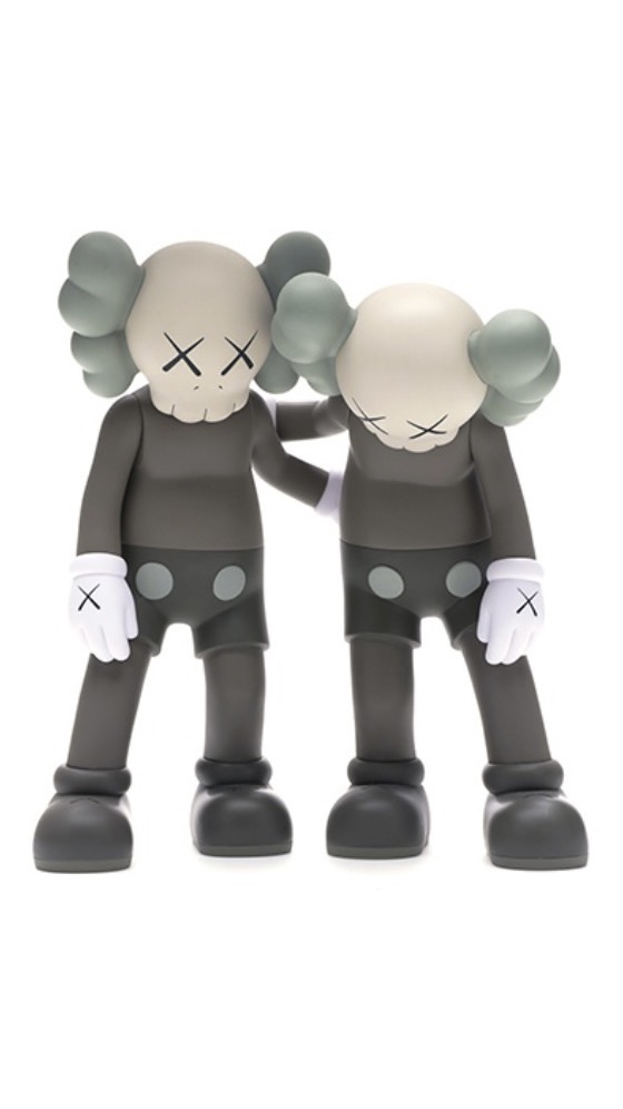 Kaws Along Brown