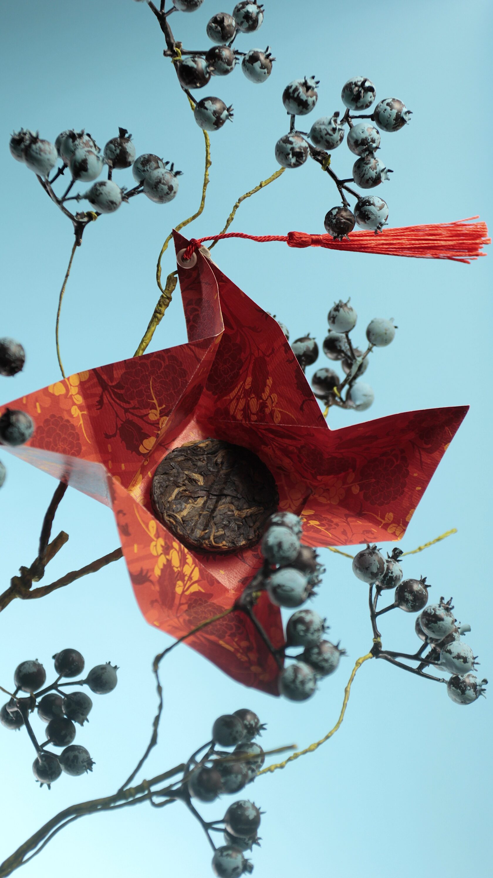 Монета Чжэчжи красный