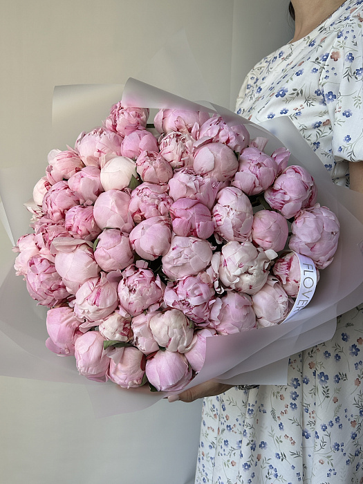 Bouquet of 51 Peonies "Sarah Bernhardt"