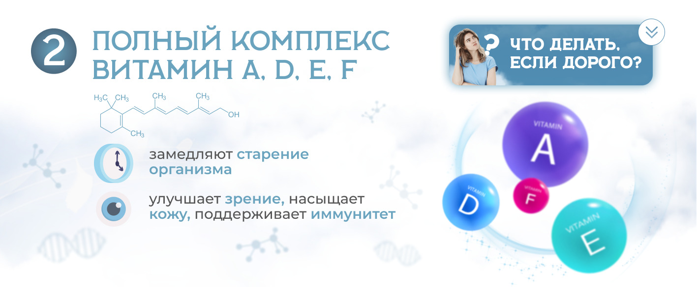 Текстовое описание изображения