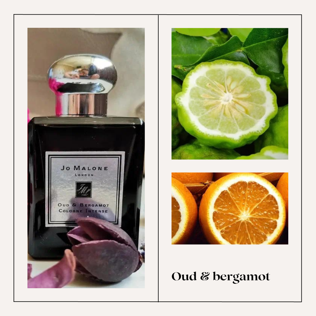 Бергамот амбра мускус. Oud & Bergamot. Бергамот сушеный. Jo Malone oud Bergamote Cologne intense. Аромат 020.